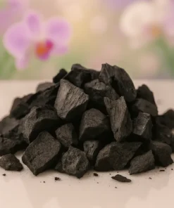 Charcoal (5 litres) - Orchid Potting Mix