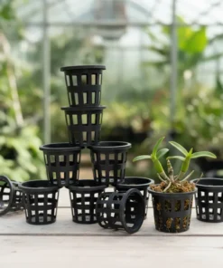 Set of 10 Orchid Pots (3.5 inch)