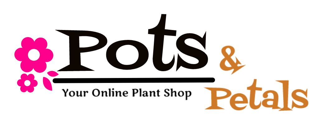 Pots and Petals