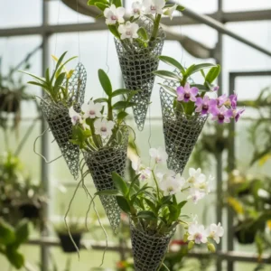 Set of 10 Cone Net Planter (GREY)