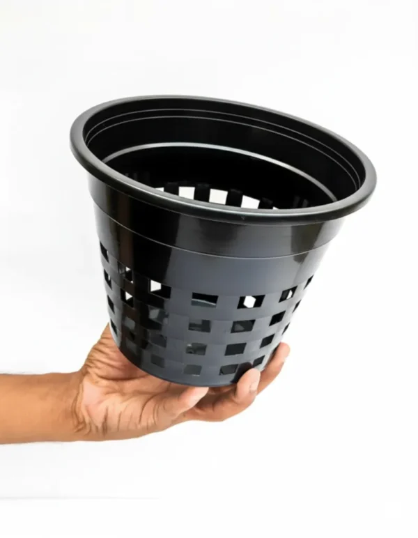 Set of 10 Extra Large Orchid Pots (BLACK)