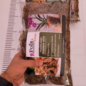Good Quality Sphagnum Moss -200g Bag Size - Orchid Potting Mix