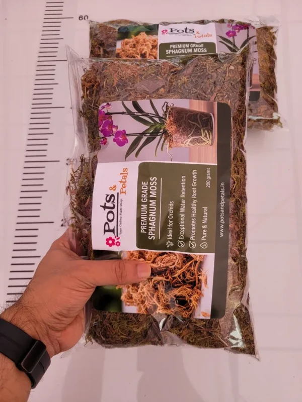Good Quality Sphagnum Moss -200g Bag Size - Orchid Potting Mix