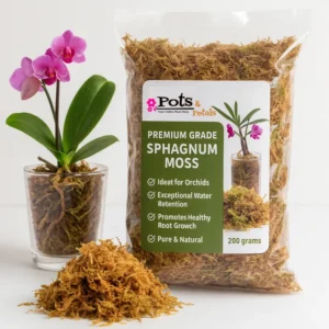 Good Quality Sphagnum Moss -200g Bag Size - Orchid Potting Mix