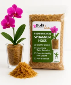 Good Quality Sphagnum Moss - Orchid Potting Mix