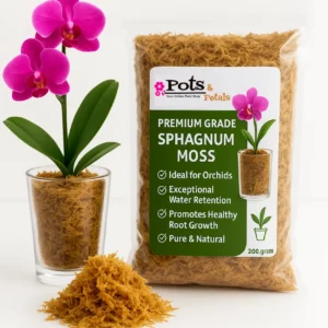 Good Quality Sphagnum Moss -200g Bag Size - Orchid Potting Mix
