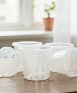 Set of 10 Clear Transparent Orchid Pots with Inverted Central Cone (6 inch)