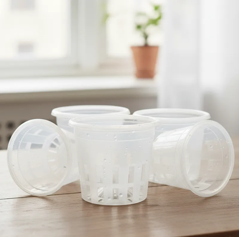 Set of 10 Clear Transparent Orchid Pots with Inverted Central Cone (6 inch)