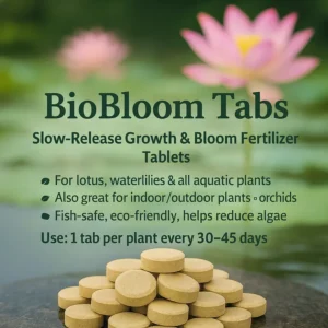 BioBloom Tabs