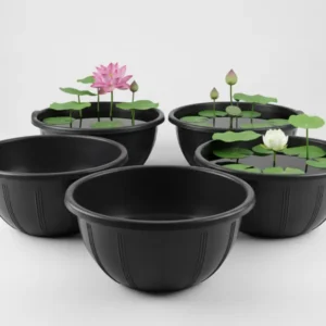 Set of 5 Extra Large Lotus Bowls (20" x 10")